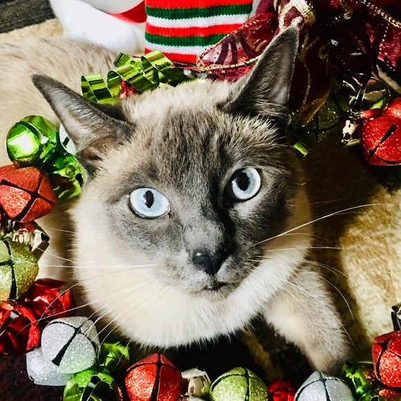 Come & Join me when I’m LIVE🦋🦋🦋 - Picture 7 of 16